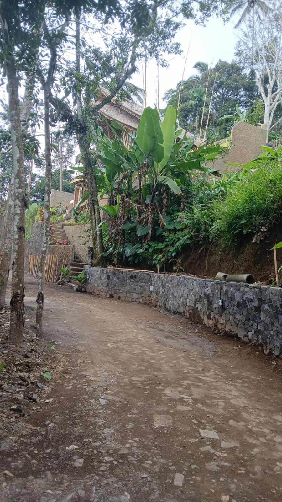 Danaswari Bali Bamboo House Selat Exterior foto